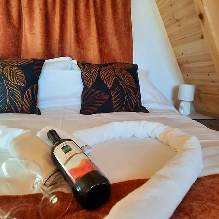 Cool House And Pool, Banja Vrujci Villa Rakari