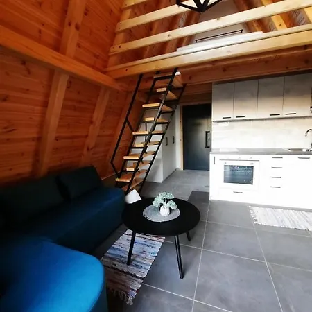 Cool House And Pool, Banja Vrujci Villa Rakari