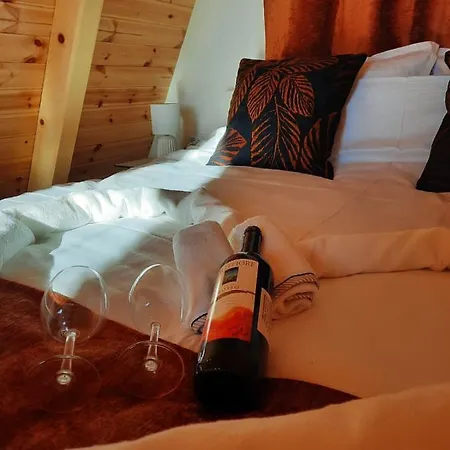 Villa Cool House And Pool, Banja Vrujci Rakari