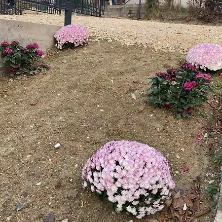 Villa Cool House And Pool, Banja Vrujci Rakari