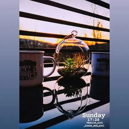 Villa Cool House And Pool, Banja Vrujci *